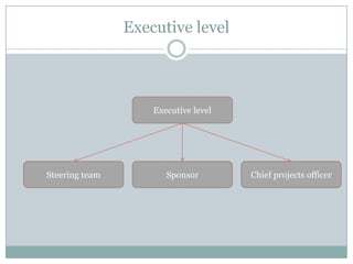 Competent consultants Team structureImplementation PartnerClientAPEX RepresentativeAPEX TeamSteering TeamProject managerProject ManagerCore Team members & IT TeamFunctional/Technical consultants