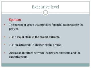 Executive levelExecutive levelChief projects officerSponsorSteering team