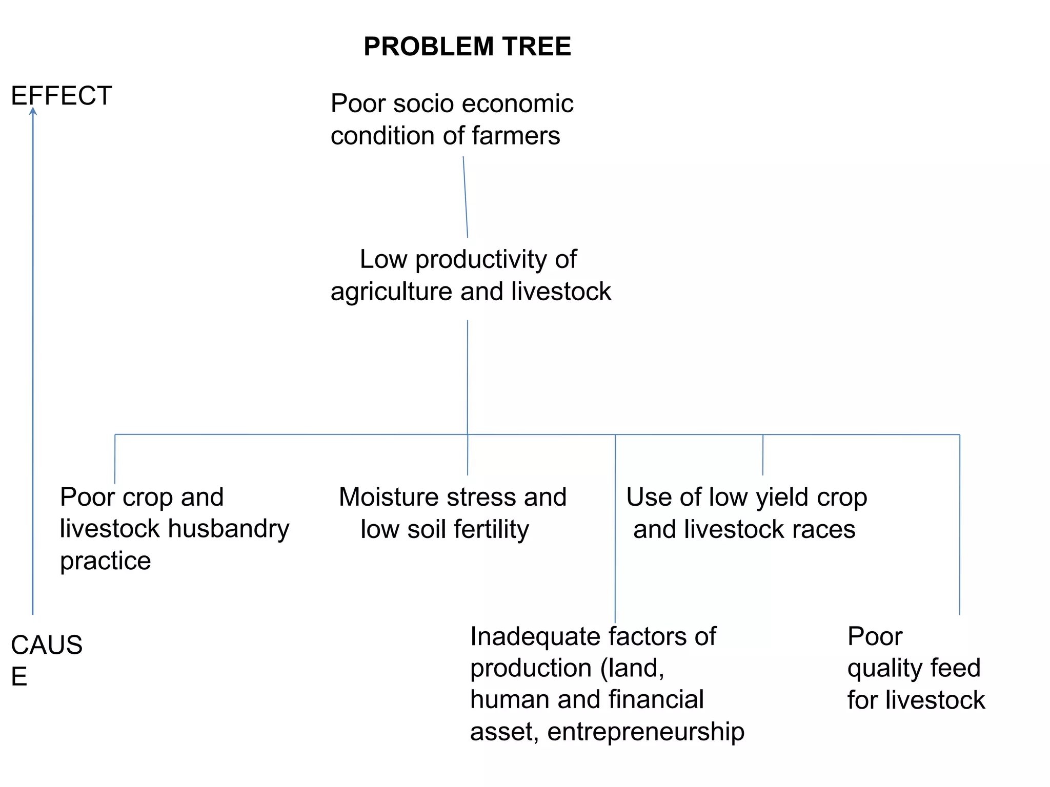 Poor socio economic
condition of farmers
Low productivity of
agriculture and livestock
Poor crop and
livestock husbandry
practice
Moisture stress and
low soil fertility
Use of low yield crop
and livestock races
Inadequate factors of
production (land,
human and financial
asset, entrepreneurship
Poor
quality feed
for livestock
CAUS
E
EFFECT
PROBLEM TREE
 