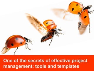 Jan-20 1Gauge Capability
One of the secrets of effective project
management: tools and templates
 