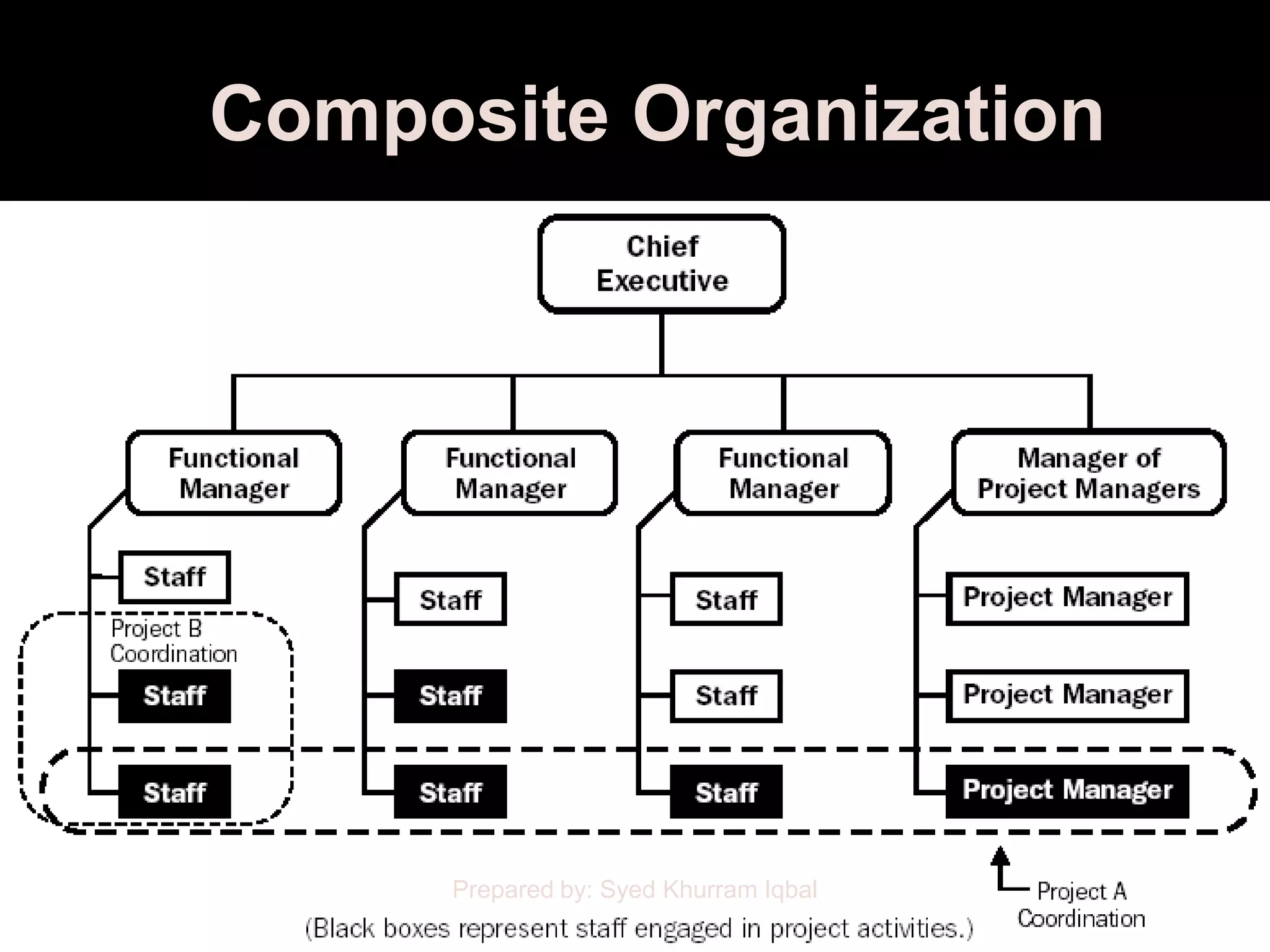 Composite Organization




     Prepared by: Syed Khurram Iqbal
 