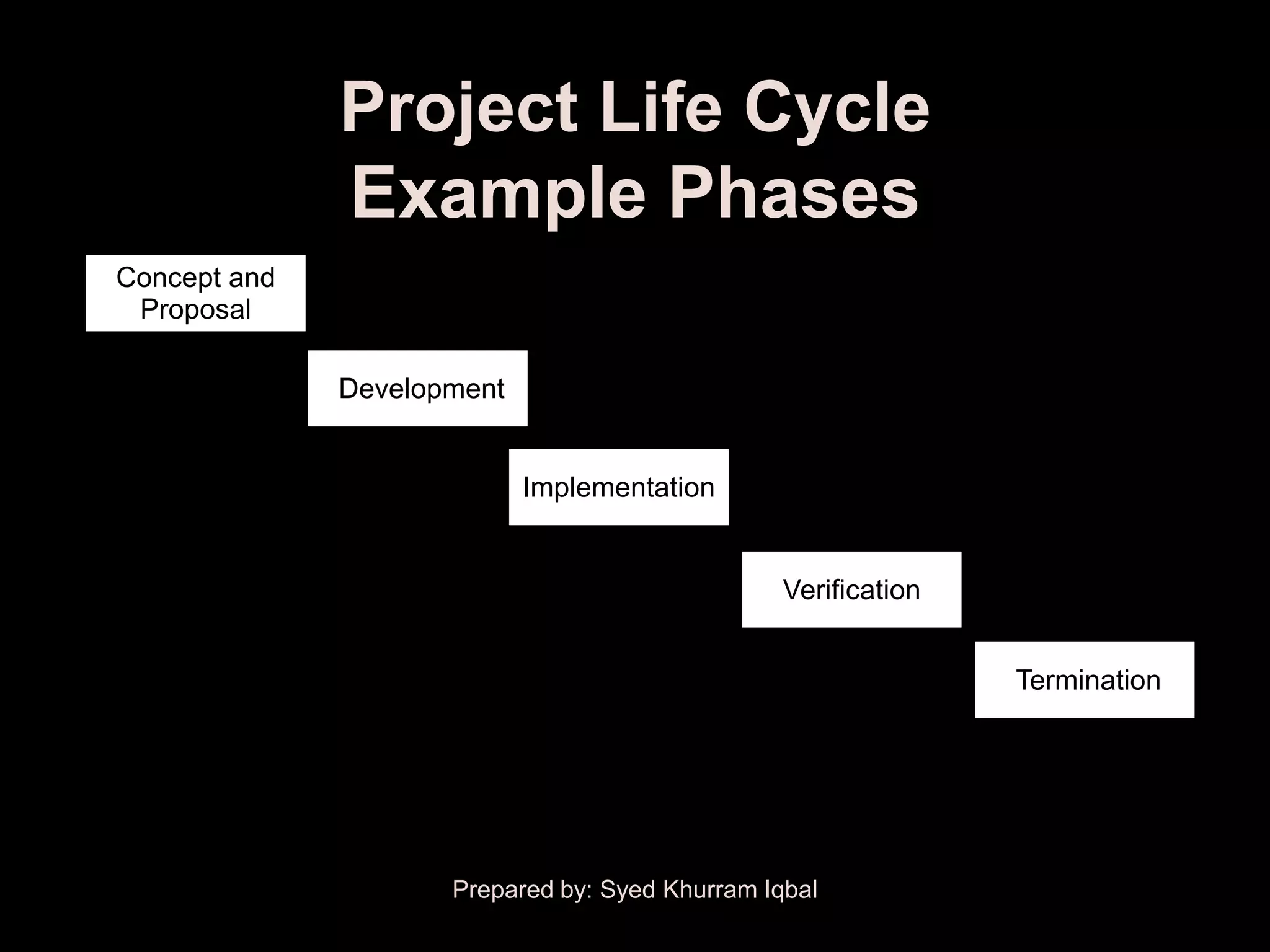 Project Life Cycle
                Example Phases
Concept and
 Proposal

                Development


                               Implementation


                                                    Verification


                                                                   Termination



Initial Phase                 Intermediate Phases                  Final Phase

                       Prepared by: Syed Khurram Iqbal
 
