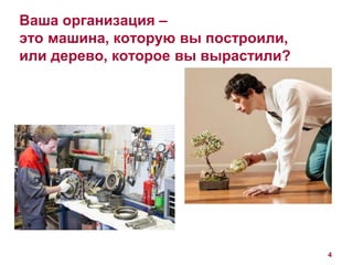 Ваша организация – 
это машина, которую вы построили, 
или дерево, которое вы вырастили? 
4 
 