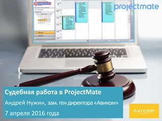 Судебная работа в ProjectMate
Андрей Нужин, зам.гендиректора«Авиком»
7 апреля 2016 года
 