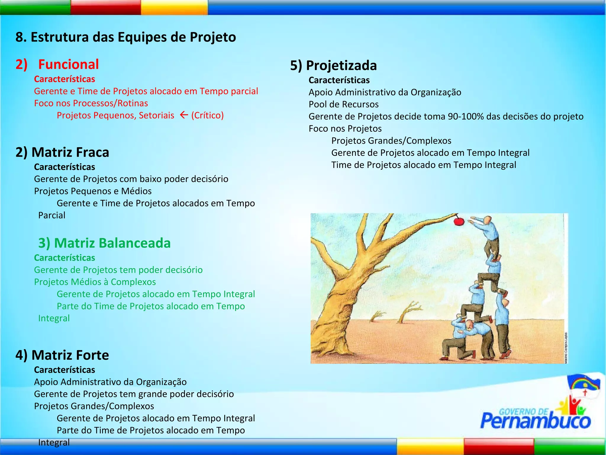 8. Estrutura das Equipes de Projeto Funcional Características Gerente e Time de Projetos alocado em Tempo parcial Foco nos Processos/Rotinas   Projetos Pequenos, Setoriais    (Crítico) 2) Matriz Fraca Características Gerente de Projetos com baixo poder decisório Projetos Pequenos e Médios   Gerente e Time de Projetos alocados em Tempo Parcial 3) Matriz Balanceada Características Gerente de Projetos tem poder decisório Projetos Médios à Complexos   Gerente de Projetos alocado em Tempo Integral   Parte do Time de Projetos alocado em Tempo Integral 4) Matriz Forte Características Apoio Administrativo da Organização Gerente de Projetos tem grande poder decisório Projetos Grandes/Complexos   Gerente de Projetos alocado em Tempo Integral   Parte do Time de Projetos alocado em Tempo Integral 5) Projetizada Características Apoio Administrativo da Organização  Pool de Recursos Gerente de Projetos decide toma 90-100% das decisões do projeto Foco nos Projetos   Projetos Grandes/Complexos   Gerente de Projetos alocado em Tempo Integral   Time de Projetos alocado em Tempo Integral 