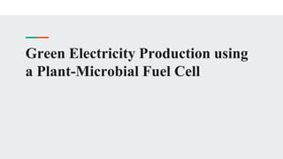 Green Electricity Production using
a Plant-Microbial Fuel Cell
 
