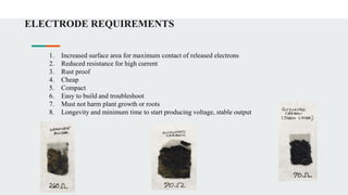 ELECTRODE REQUIREMENTS
1. Increased surface area for maximum contact of released electrons
2. Reduced resistance for high current
3. Rust proof
4. Cheap
5. Compact
6. Easy to build and troubleshoot
7. Must not harm plant growth or roots
8. Longevity and minimum time to start producing voltage, stable output
 