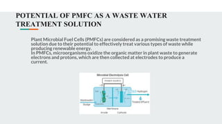 POTENTIAL OF PMFC AS A WASTE WATER
TREATMENT SOLUTION
Plant Microbial Fuel Cells (PMFCs) are considered as a promising waste treatment
solution due to their potential to effectively treat various types of waste while
producing renewable energy.
In PMFCs, microorganisms oxidize the organic matter in plant waste to generate
electrons and protons, which are then collected at electrodes to produce a
current.
 