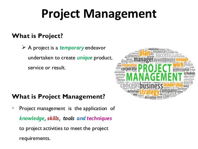 what is project management