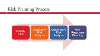 Risk Planning Process