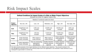Risk Impact Scales
