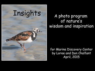 Insights A photo program
of nature’s
wisdom and inspiration
for Marine Discovery Center
by Loree and Don Chalfant
April, 2015
 