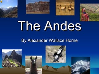 The Andes By Alexander Wallace Horne 