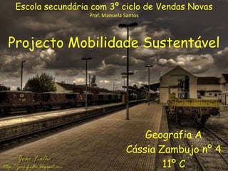 Escola secundária com 3º ciclo de Vendas Novas Prof. Manuela Santos Projecto Mobilidade Sustentável  Geografia A Cássia Zambujo nº 4  11º C 