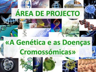 ÁREA DE PROJECTO «A Genética e as Doenças Cromossómicas» 
