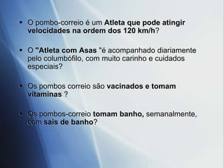  O pombo-correio o animal mais fiel à família, pois solto a mais de 1.000 kms regressa sempre a sua casa?