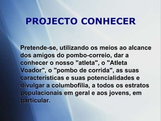Objectivo ambiciosoconstrução de uma base de dados com informações sobre o pombo-correio e columbofiliaTrabalho por fases e por objectivos tendo em conta as realidades e potencialidades locais, regionais, nacionais e internacionais, onde os interessados podem recolher dados para utilizar na prossecução do grande objectivo