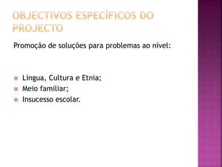 Promoção de soluções para problemas ao nível:
 Língua, Cultura e Etnia;
 Meio familiar;
 Insucesso escolar.
 