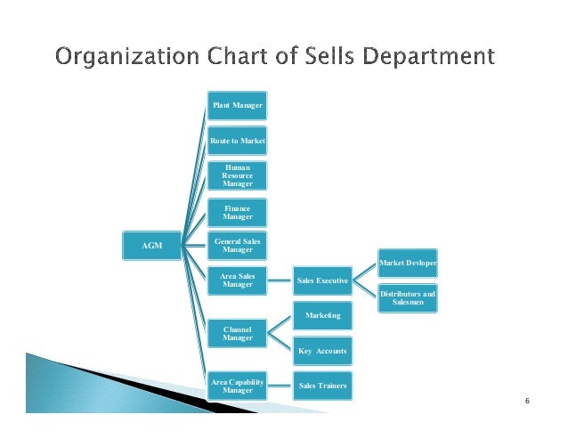 system channel ltd coca ppt beverages pvt. cola ltd