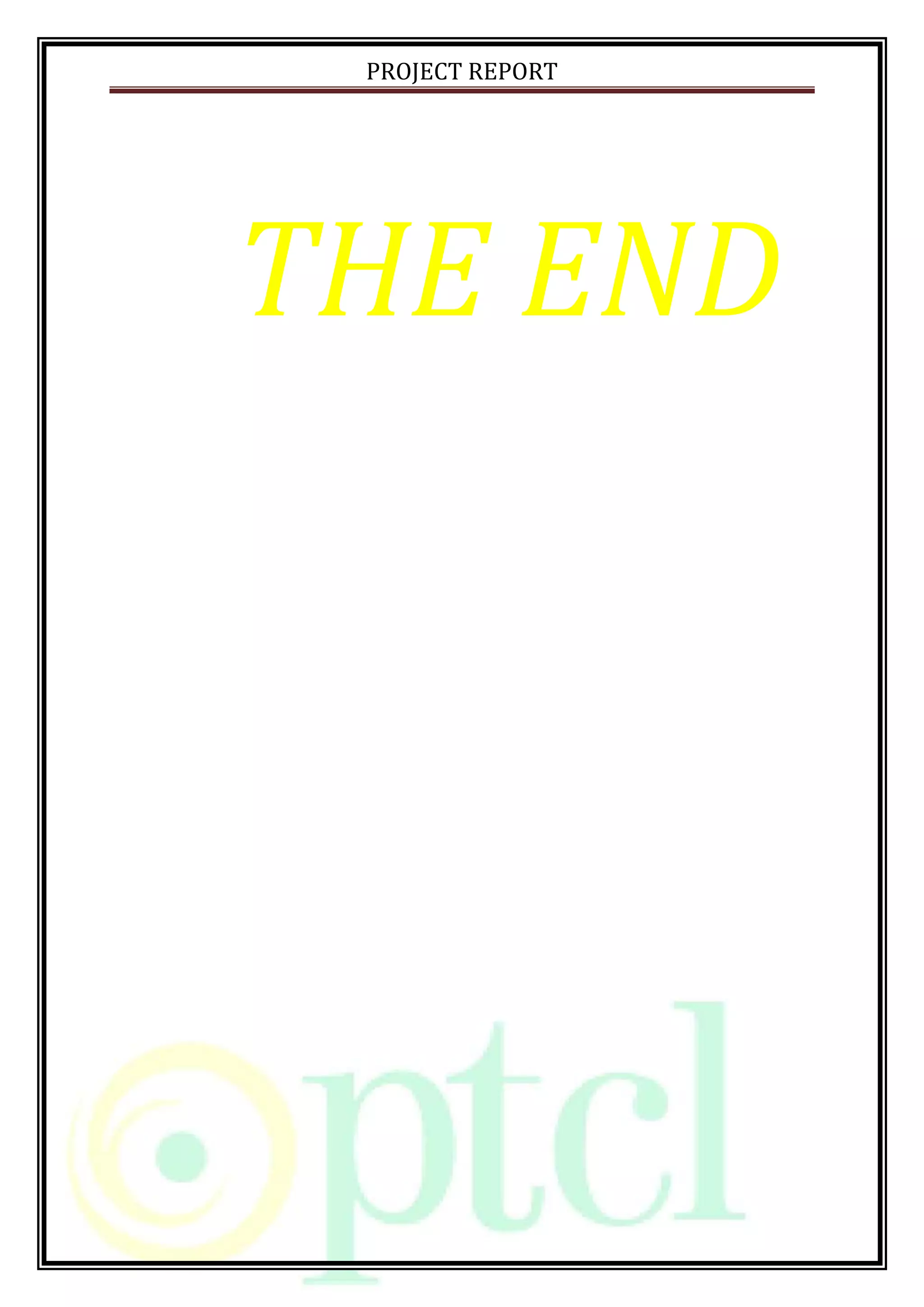 PROJECT REPORT
THE END
 