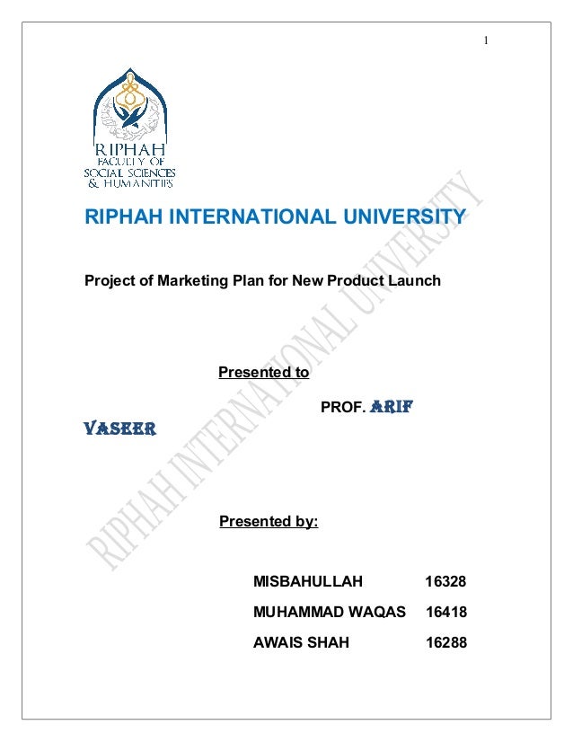 new product project plan