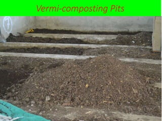 Project of Organic fertilizer unit | PPTX