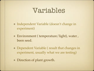 Variables Plant Example plant project_O.R | KEY