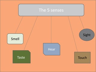 The 5 senses
Smell
Sight
TouchTaste
Hear