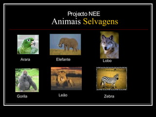 Projecto NEE

Animais Selvagens

Arara

Gorila

Elefante

Leão

Lobo

Zebra

 