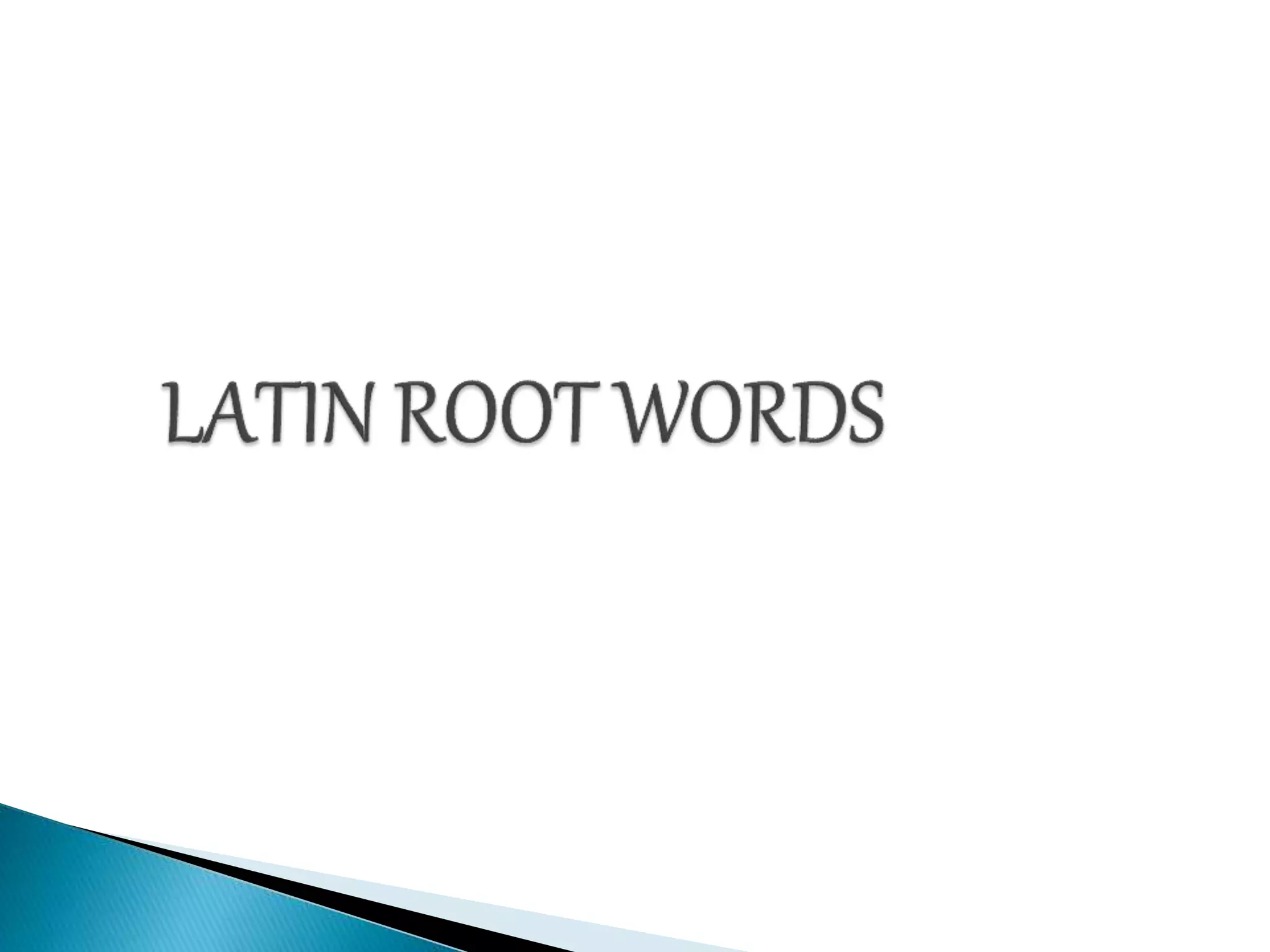 Project On Greek And Latin Root Words PPT project-on-greek-and-latin-root-words-ppt