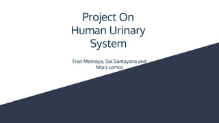 Project On
Human Urinary
System
Fran Montoya, Sol Santayana and
Mora Lemos
 
