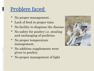 Poultry Management Problem Comprehensive Analysis of Poultry Farming: Principles, Practices, and ...