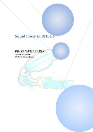 Squid Proxy in RHEL 6


PRIYANATH BARIK
Under Guidance OF
ER. Nutan Kumar Panda
 