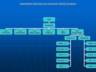 Organization Structure of a Consumer Goods Company
CEO
President
V.P.
Purchase
V.P.
Production
V.P.
Mktg./Sales
V.P.
Finance
V.P.
HRD
V.P.
Project Mgt.
Project A Project B
Mktg. = 2
Manufac.= 2
R & D = 1
Finance = 1
HRD = 1
Mktg = 3
Mnf. = 1
R & D = 2
Fin. = 1
HRD = 1
 