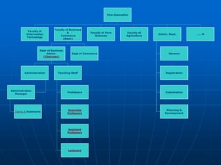 Vice Chancellor
Faculty of
Information
Technology
Faculty of Business
&
Commerce
(Dean)
Dept of Business
Admin.
(Chairman)
Administration
Administration
Manager
Clerks / Assistants
Teaching Staff
Professors
Associate
Professors
Assistant
Professors
Lecturers
Dept of Commerce
Faculty of Pure
Sciences
Faculty of
Agriculture
Admin. Dept.
General
Registration
Examination
Planning &
Development
….. N
 
