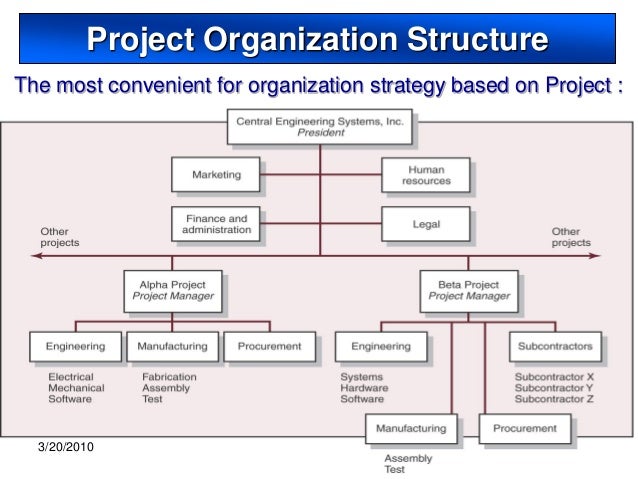 Sample Project Organization Chart