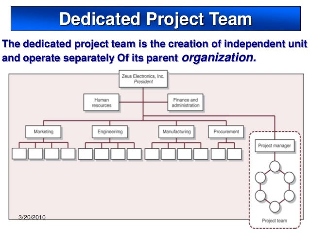 Project Team Organization Chart