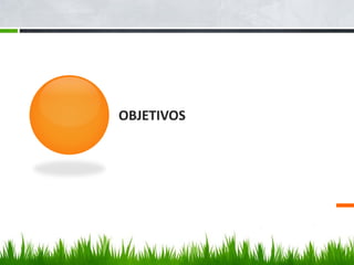 OBJETIVOS
 