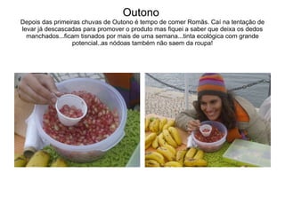 Outono  Depois das primeiras chuvas de Outono é tempo de comer Romãs. Caí na tentação de levar já descascadas para promover o produto mas fiquei a saber que deixa os dedos manchados...ficam tisnados por mais de uma semana...tinta ecológica com grande potencial..as nódoas também não saem da roupa! 