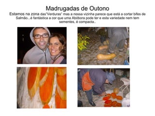 Madrugadas de Outono Estamos na zona  das”Verduras” mas a nossa vizinha parece que está a cortar bifes de Salmão...é fantástica a cor que uma Abóbora pode ter e esta variedade nem tem sementes, é compacta.. 