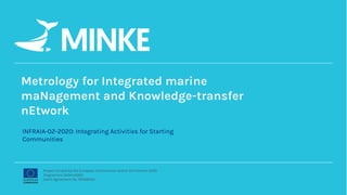Metrology for Integrated marine
maNagement and Knowledge-transfer
nEtwork
Project funded by the European Commission within the Horizon 2020
Programme (2014-2020)
Grant Agreement No. 101008724
INFRAIA-02-2020: Integrating Activities for Starting
Communities
 
