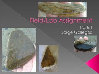 Field/Lab Assignment Parts I  Jorge Gallegos  