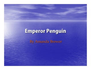 Emperor PenguinEmperor Penguin
By Amanda BrewerBy Amanda Brewer
 