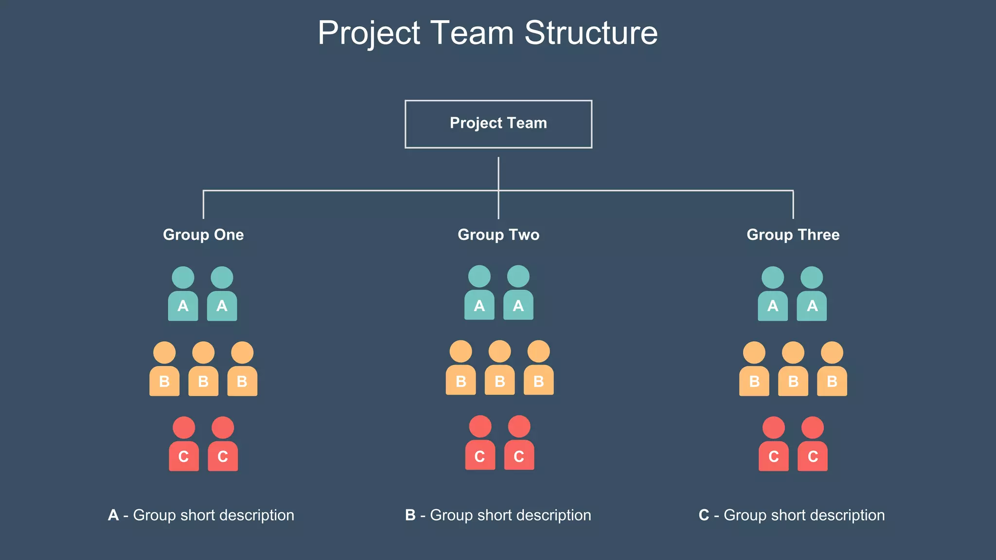 Project Team
Group One Group Two Group Three
A A A A A A
B
B B B
B B B
B B
C
C C
C C
C
A - Group short description B - Group short description C - Group short description
Project Team Structure
 