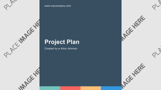 Project Plan
Created by ● Alice Johnson
www.mycompany.com
 