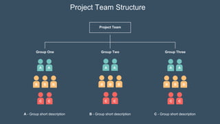 Project Team
Group One Group Two Group Three
A A A A A A
B
B B B
B B B
B B
C
C C
C C
C
A - Group short description B - Group short description C - Group short description
Project Team Structure
 