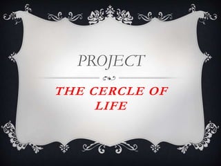 THE CERCLE OF
LIFE
PROJECT
 