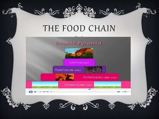 THE FOOD CHAIN
 