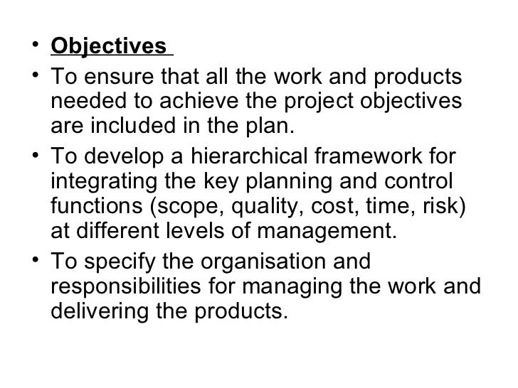 project objectives