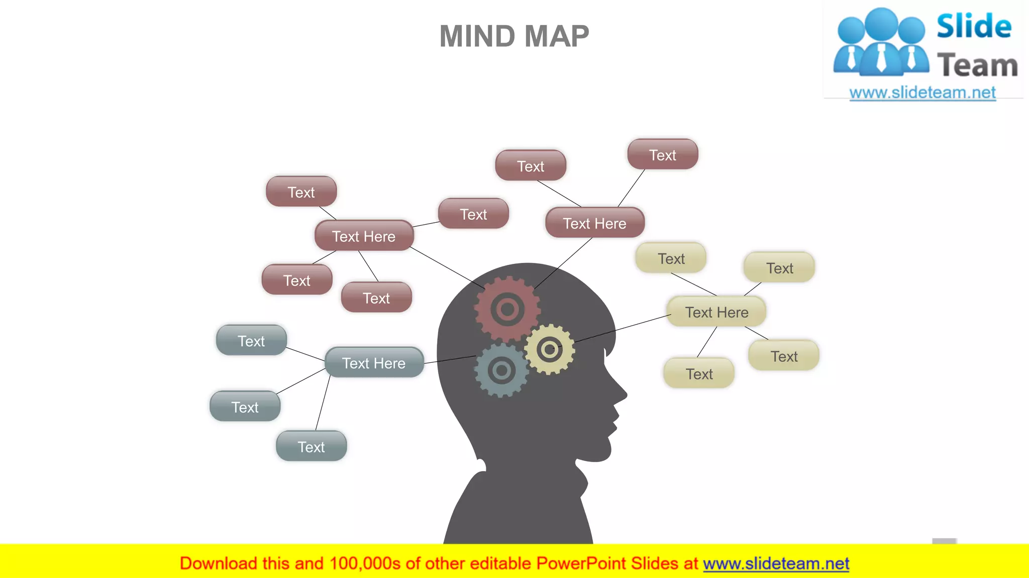 MIND MAP
45
Text
Text
Text
Text Here Text
Text
Text
Text
Text Here
Text
Text
Text
Text
Text Here
Text
Text
Text Here
 